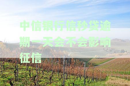 新中信银行信秒贷逾期一天是否会影响征信？