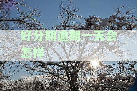 逾期一天的影响及征信记录：全面解析与应对策略