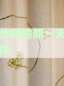 逾期一天会怎样