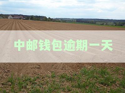 中邮钱包逾期一天后，征信仍然无记录？解答用户关于征信查询的疑问