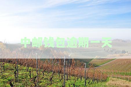 中邮钱包逾期还款一天后，贷款再次借款的机会和影响有哪些？