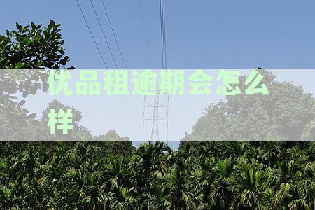 优品租逾期后果及解决方案：与石家法院的关系解读，确保您的权益不受损失