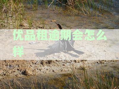 优品租逾期还款风险及解决方案全解析，避免不必要的法律纠纷