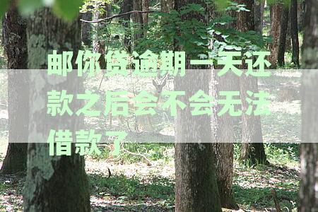邮你贷逾期一天还款之后会不会无法借款了