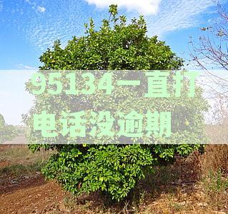 95595电话频繁骚扰？原因揭秘及解决方案，让你不再被打扰！