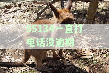 没有逾期0571打电话：真的吗？未逾期却接到来电，怎么回事？