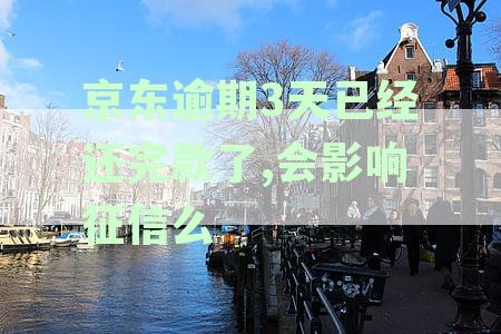 京东逾期还款后再次借款需要等待多久？了解相关政策和时间表