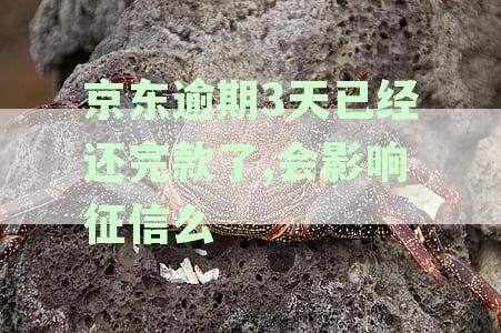 '京东逾期3天已经还完款了，怎么不能借款了：解决方法'