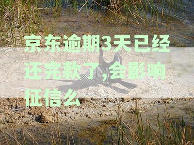 逾期3天后已还款，何时能恢复正常使用？