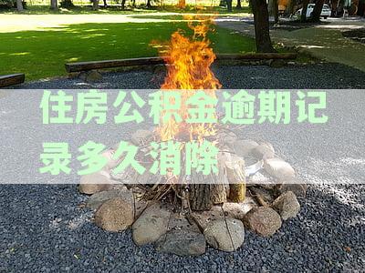 公积金逾期还款时间对征信的影响：几天算不良记录？