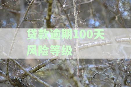 贷款逾期100天风险等级会降低吗：探讨影响及后果