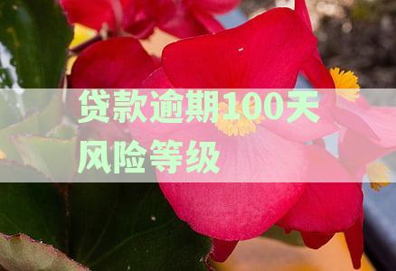 了解贷款逾期100天后的风险等级与信用卡信用资讯分析
