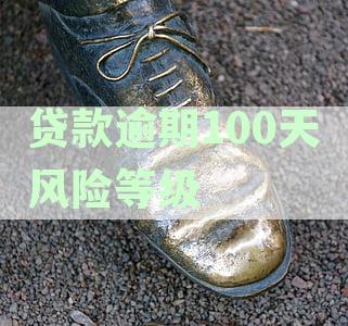 贷款逾期100天风险等级