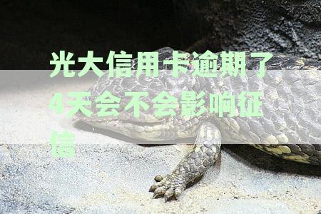 光大征信4天是否会影响个人信用？如何解决这个问题？