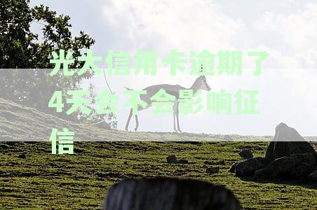 光大信用卡逾期4天：是否会对个人信用产生负面影响？