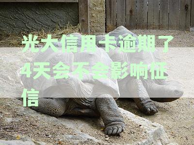 光大信用卡逾期了4天会不会影响征信