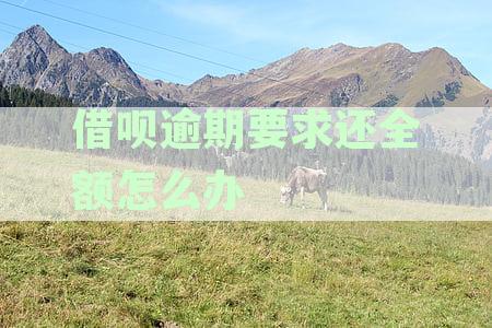 借呗逾期要求全部还清后，支付宝页面显示有分期还款选，如何操作？