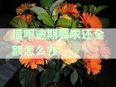 借呗逾期还款：真的需要全部偿还吗？是否存在套路？