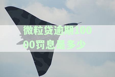 微粒贷10000逾期一年的罚息与利息分析