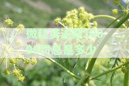 微粒贷逾期10000元罚息明细及计算方法，如何避免逾期导致的高额费用？