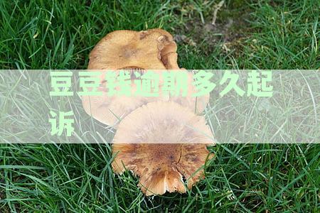豆豆钱逾期两个月，用户面临起诉的风险？如何应对这一情况？