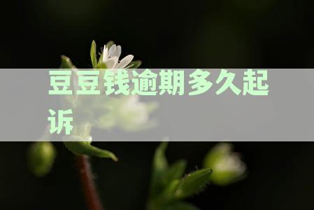 豆豆钱逾期多久起诉