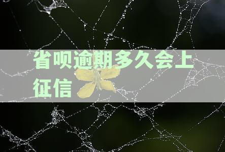 省呗逾期对征信的影响及上报时间探讨