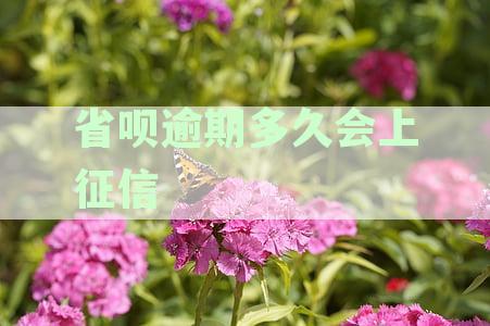 省呗逾期上征信的时间点及相关影响，如何避免不良记录？