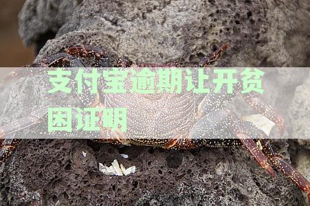 支付宝逾期是否需要提供贫困证明？如何办理？相关政策解读及应对方法