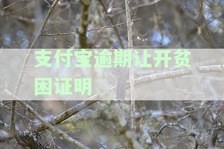 支付宝逾期减免费用需开贫困证明，提交后审核多久？怎么办理和写这个证明？