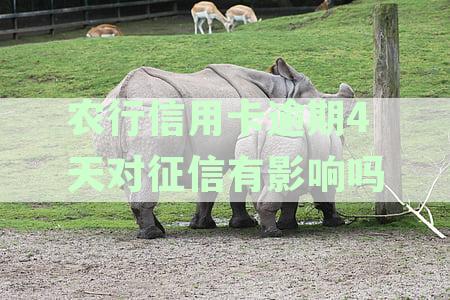 农行信用卡逾期4天对征信的影响及解决方法：如何避免信用受损？