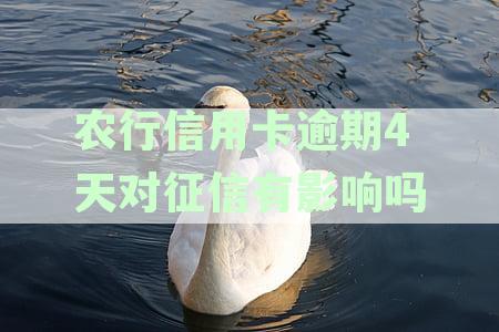农行信用卡逾期-农行信用卡逾期一天有影响吗?