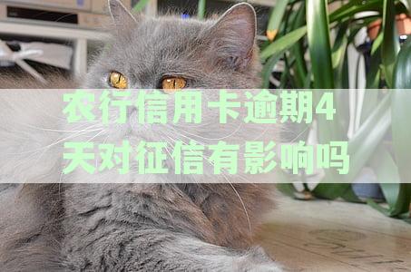 农业银行信用卡逾期四天处理方法及信用影响分析