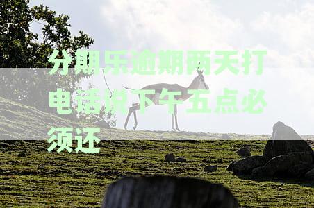 分期乐逾期两天，中午12点未还将受严格处理