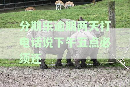 分期乐逾期还款困扰：被催收电话连续轰炸两个小时