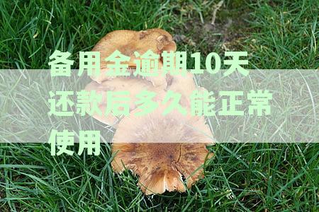 备用金逾期后还款，何时能再次使用？了解逾期还款的处理方式及恢复时间