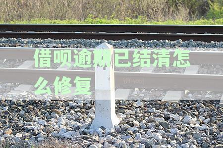 支付宝借呗逾期结清后，如何操作以消除不良征信记录并恢复信用？