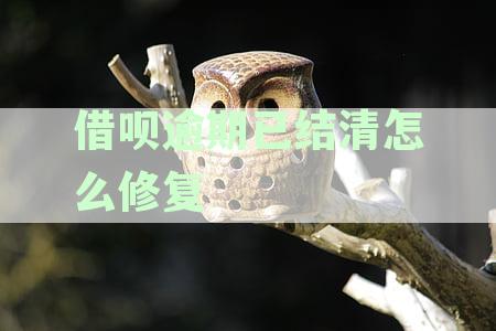借呗逾期后结清，仍被要求全部还款合理吗？