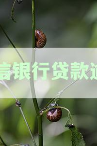 中信银行贷款逾期协商攻略：如何有效处理逾期问题并降低损失？