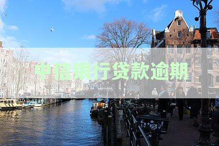 中信银行贷款逾期2天会上征信吗：逾期后果及处理方式