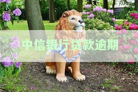 中信银行贷款逾期后的协商与解债全攻略：详细步骤、常见误区及应对策略