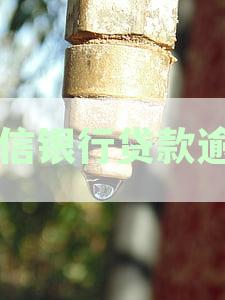中信银行信用卡贷款逾期时间与征信影响解析