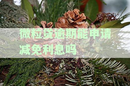 微粒贷逾期后利息减免政策全面解析：用户可能关心的问题都在这里！
