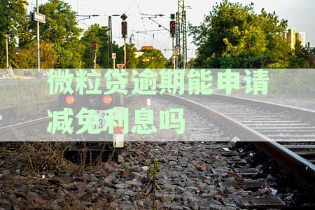 微粒贷逾期后免除利息罚息的计算方法与可能性