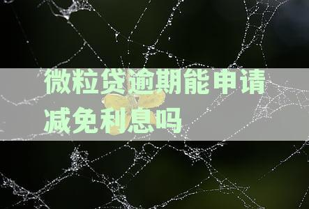 微粒贷逾期能减免多少本金、利息、违约金和罚息？