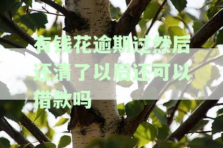 逾期还款后仍能借款吗？安全吗？