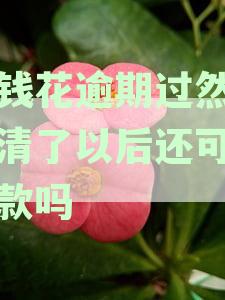 有钱花逾期过然后还清了以后还可以借款吗