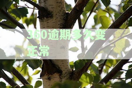 借条逾期后，360天会被起诉？了解诉讼时效和可能后果