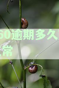 360逾期多久变正常