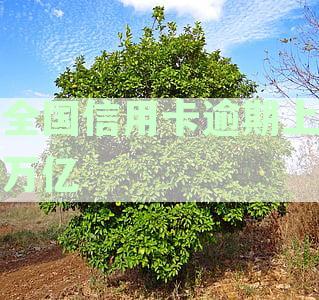 2021年全国信用卡逾期人数统计：逾期总额持续增长
